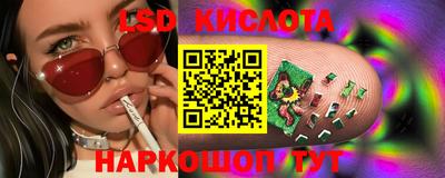 шишки Шелехов