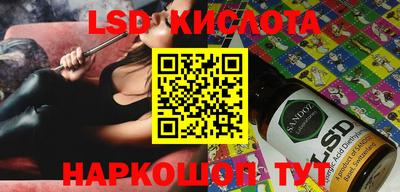 шишки Шелехов