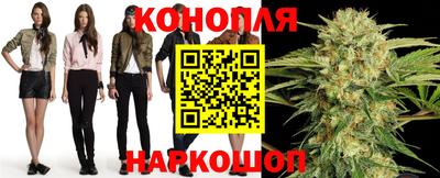 бошки Шебекино