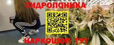 СК Ярославль