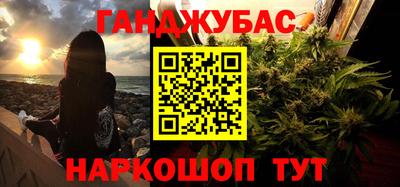 шишки Шелехов