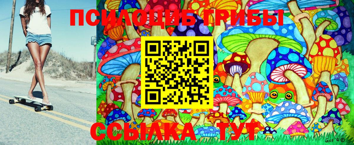 Псилоцибиновые грибы Psilocybe Людиново